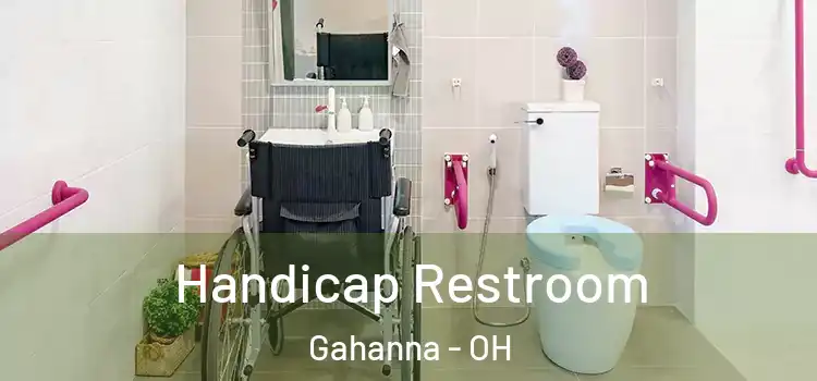  Handicap Restroom Gahanna - OH